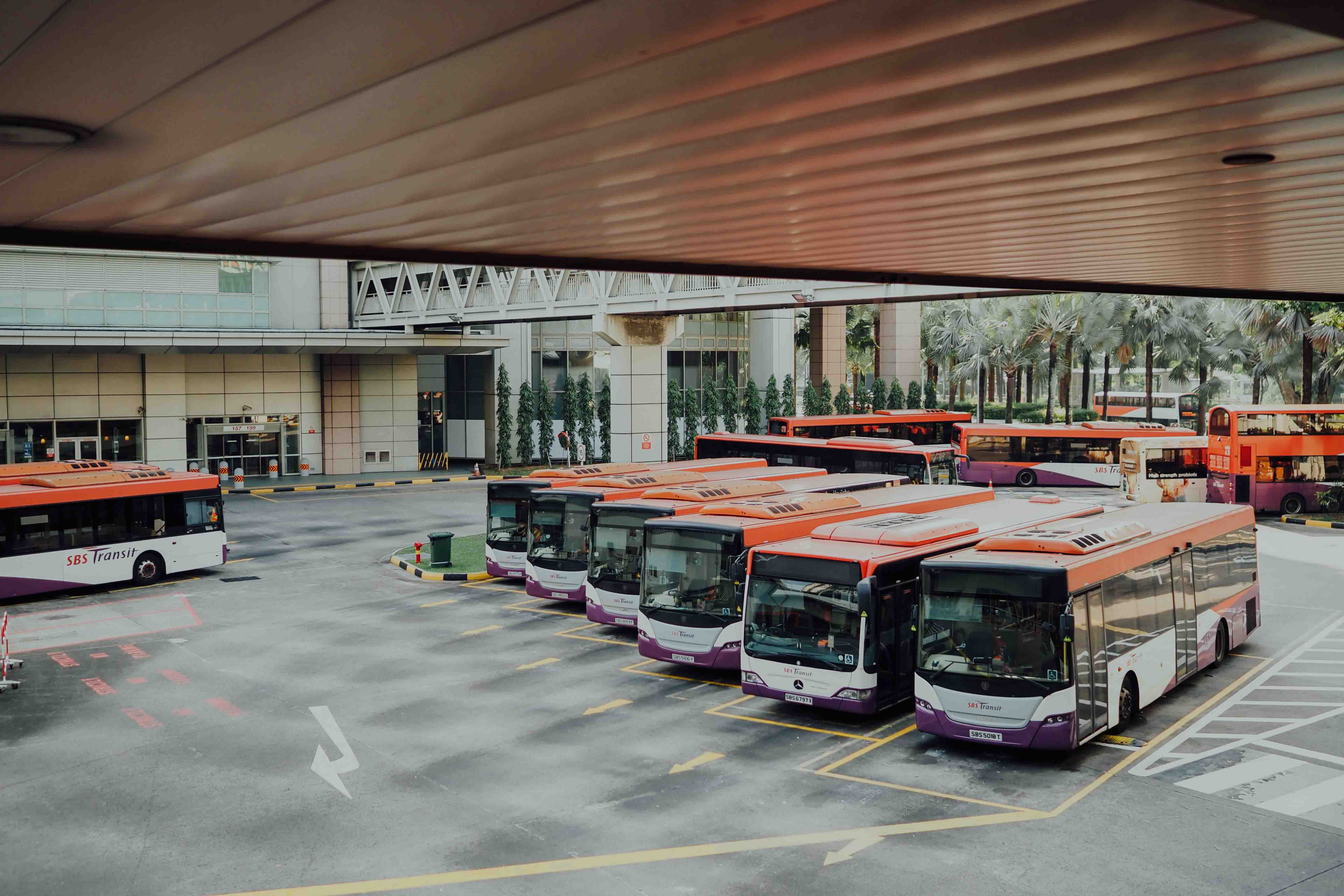 Buses in terminal